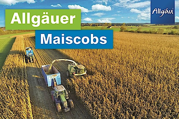 Maiscobs