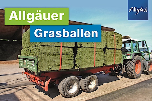 Grasballen